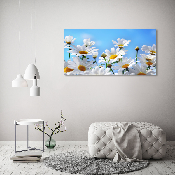 Glass acrylic wall art Daisy