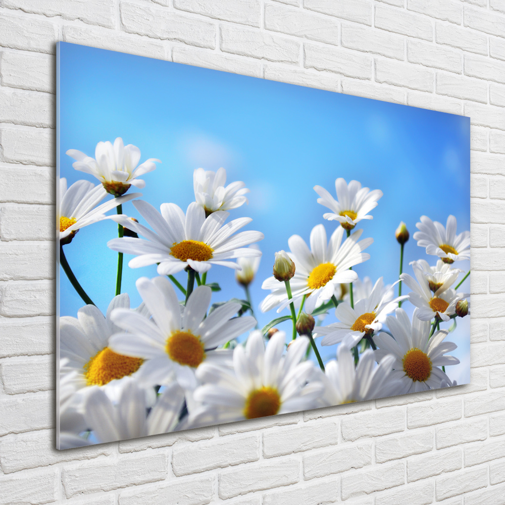 Glass acrylic wall art Daisy