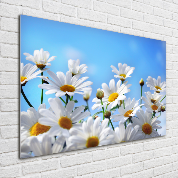 Glass acrylic wall art Daisy