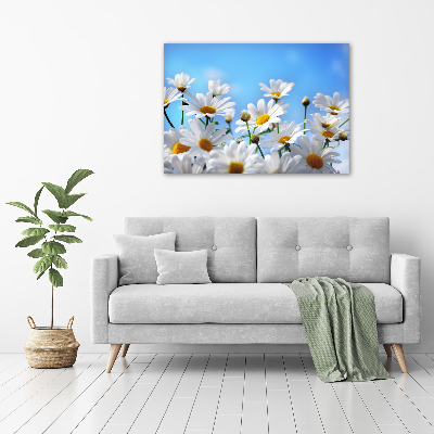 Glass acrylic wall art Daisy