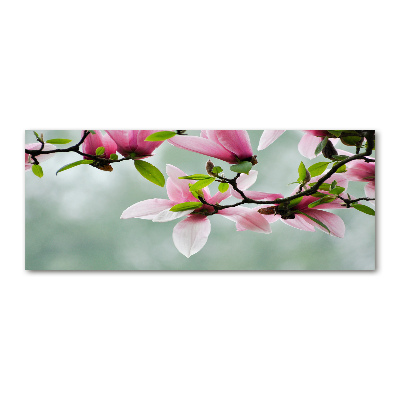 Glass acrylic wall art Magnolia