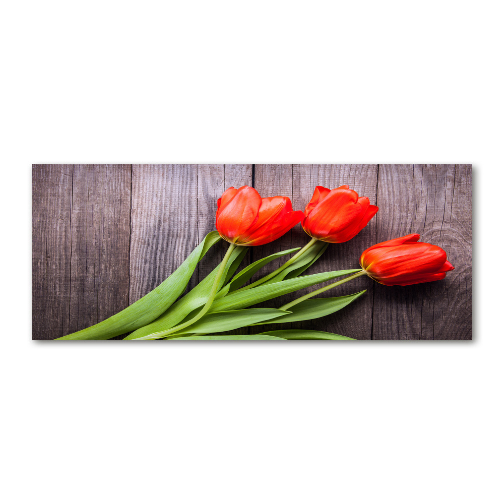 Glass acrylic wall art Red tulips