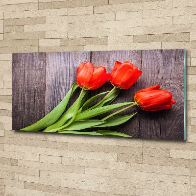 Glass acrylic wall art Red tulips