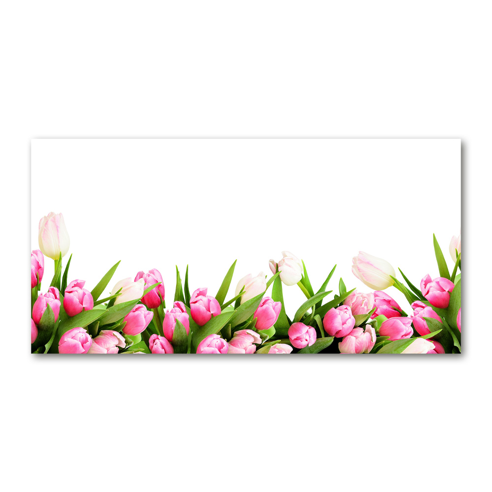 Glass acrylic wall art Pink tulips