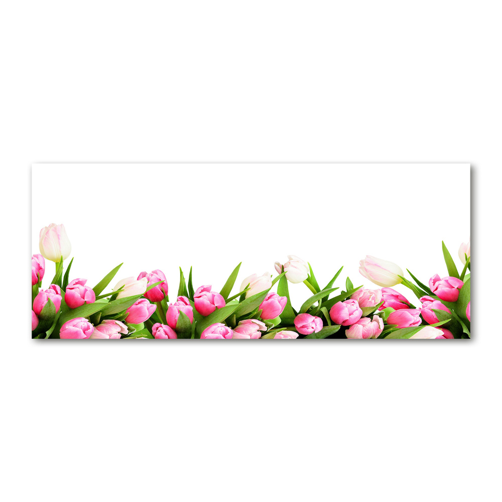 Glass acrylic wall art Pink tulips