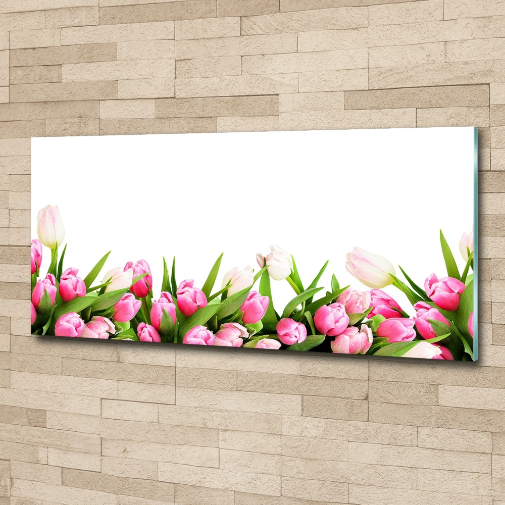 Glass acrylic wall art Pink tulips