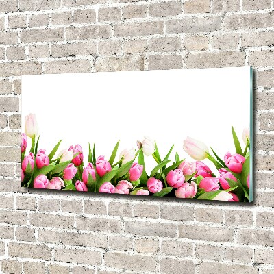 Glass acrylic wall art Pink tulips