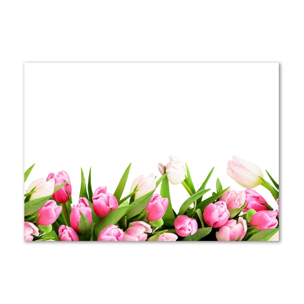 Glass acrylic wall art Pink tulips