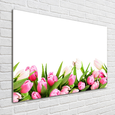 Glass acrylic wall art Pink tulips