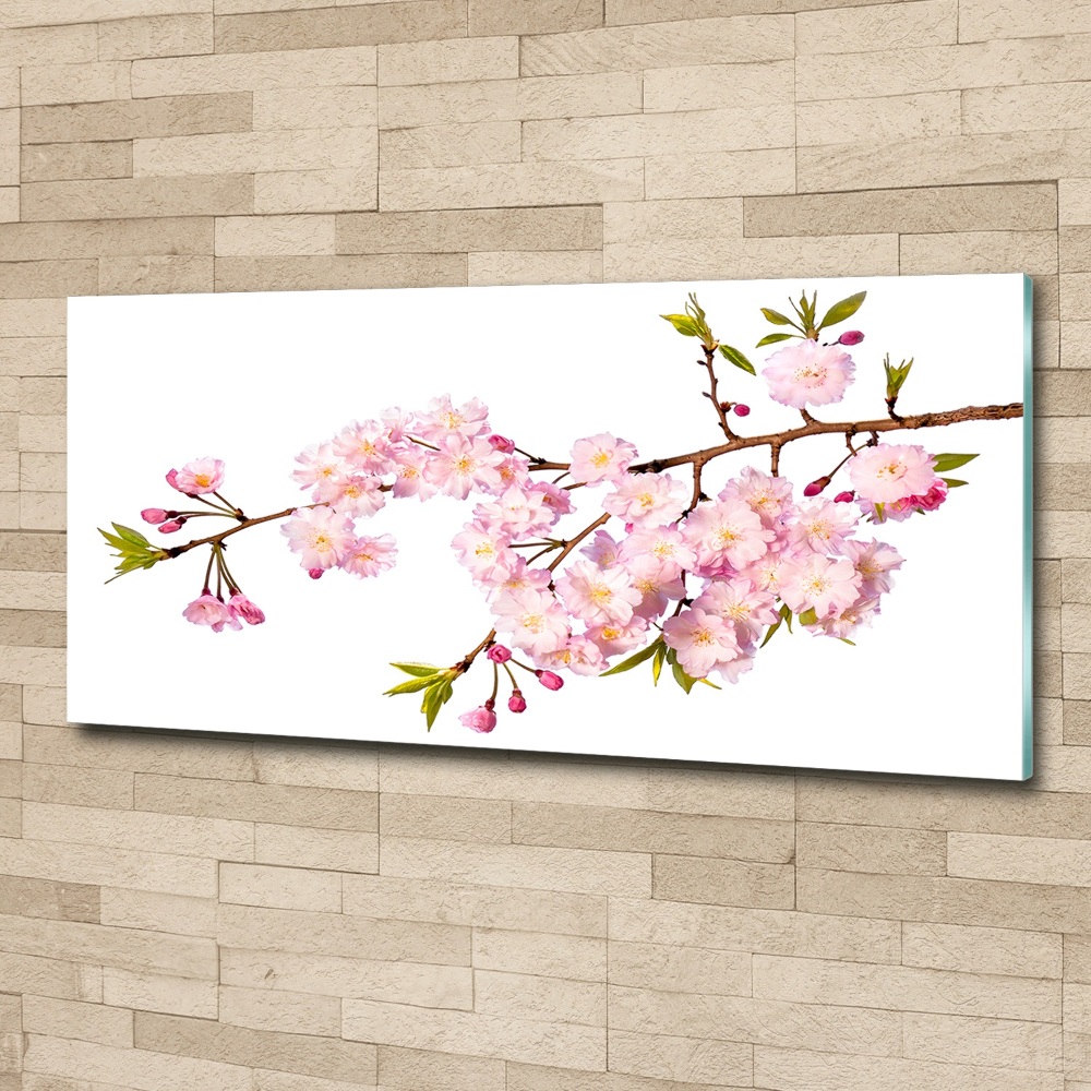 Glass acrylic wall art Wild Rose