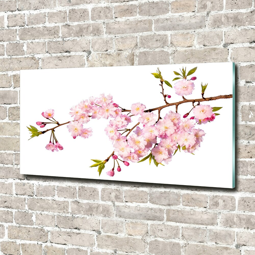 Glass acrylic wall art Wild Rose