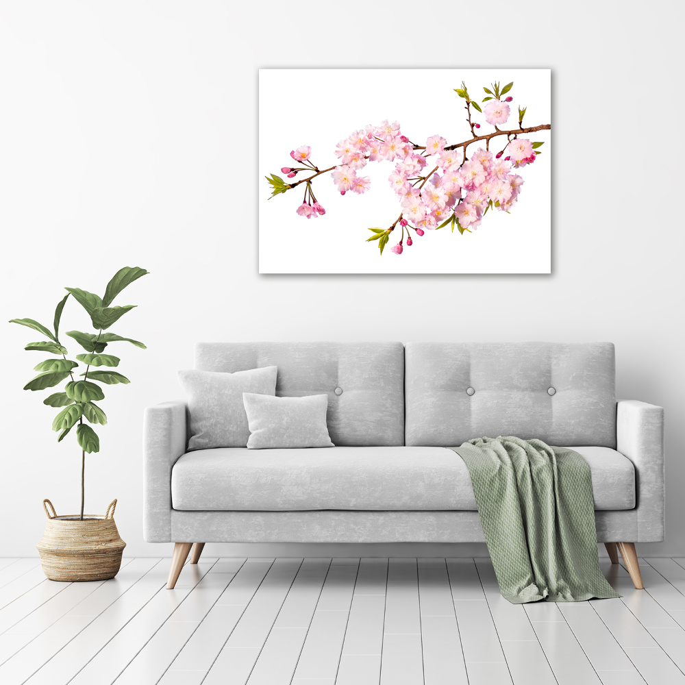 Glass acrylic wall art Wild Rose