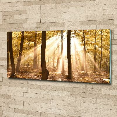 Acrylic print Forest in autumn