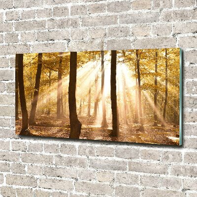 Acrylic print Forest in autumn