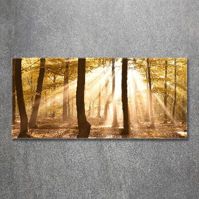 Acrylic print Forest in autumn