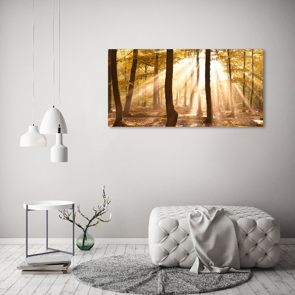 Acrylic print Forest in autumn