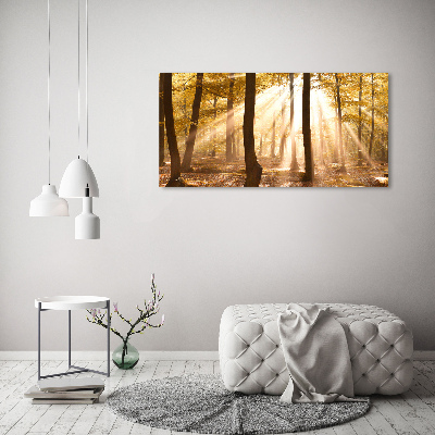 Acrylic print Forest in autumn