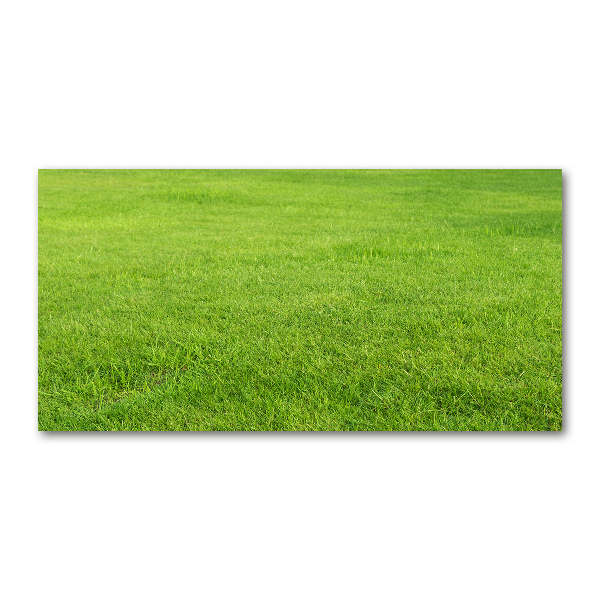 Glass acrylic wall art green grass