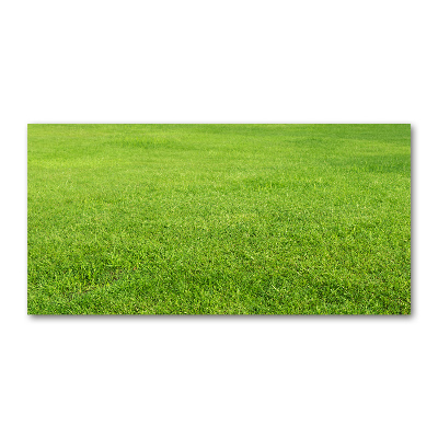 Glass acrylic wall art green grass