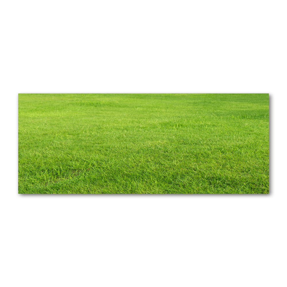 Glass acrylic wall art green grass