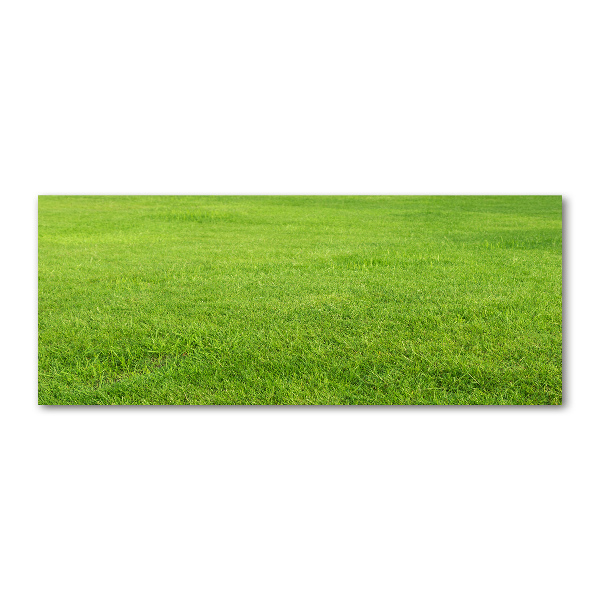 Glass acrylic wall art green grass