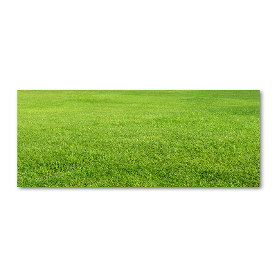 Glass acrylic wall art green grass