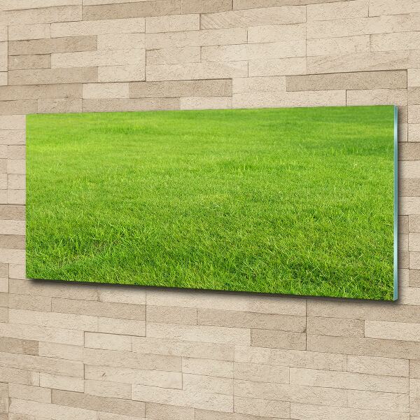 Glass acrylic wall art green grass