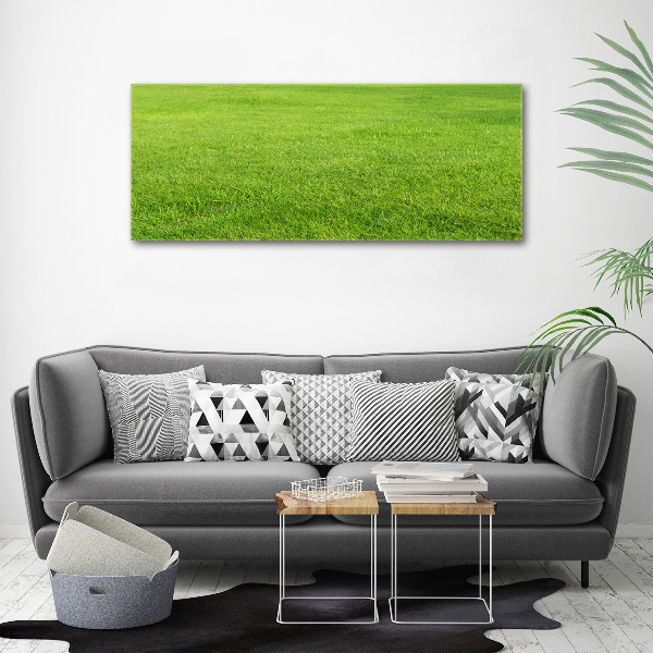 Glass acrylic wall art green grass