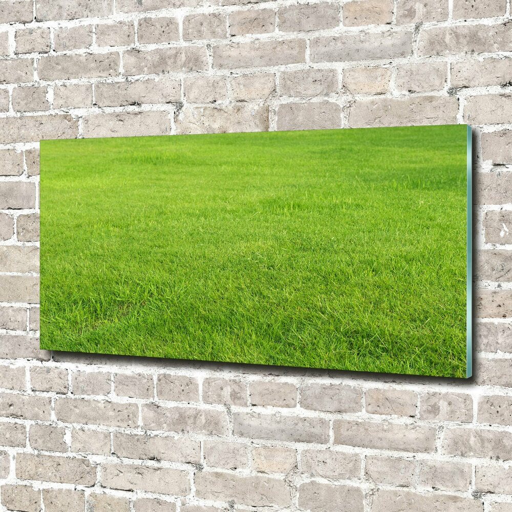 Glass acrylic wall art green grass