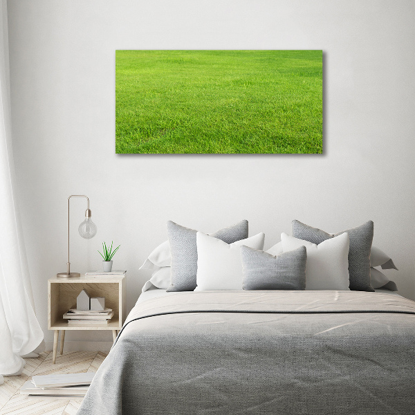 Glass acrylic wall art green grass