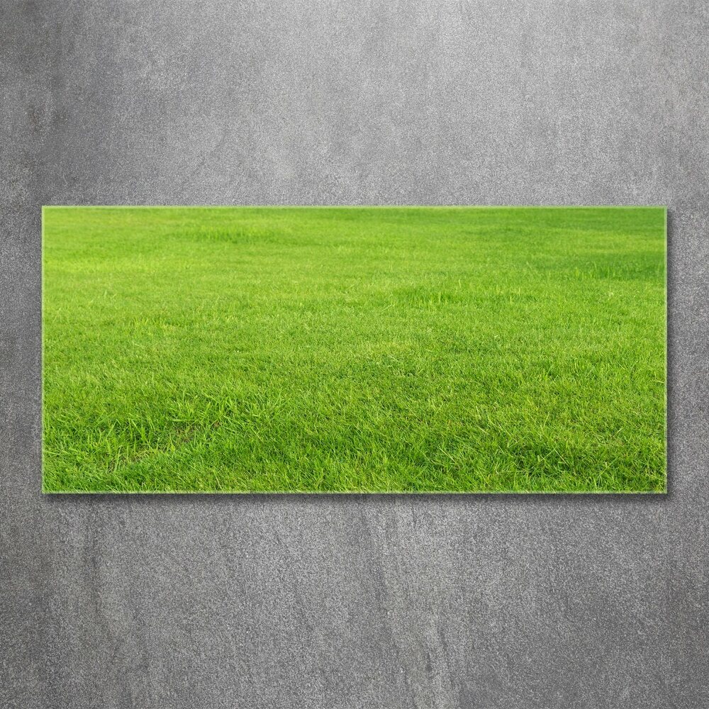 Glass acrylic wall art green grass