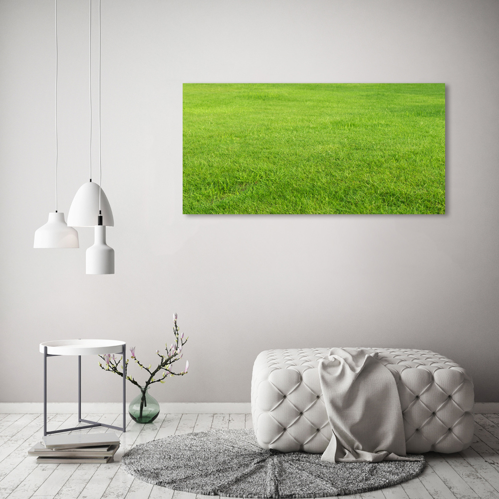 Glass acrylic wall art green grass