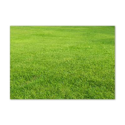 Glass acrylic wall art green grass