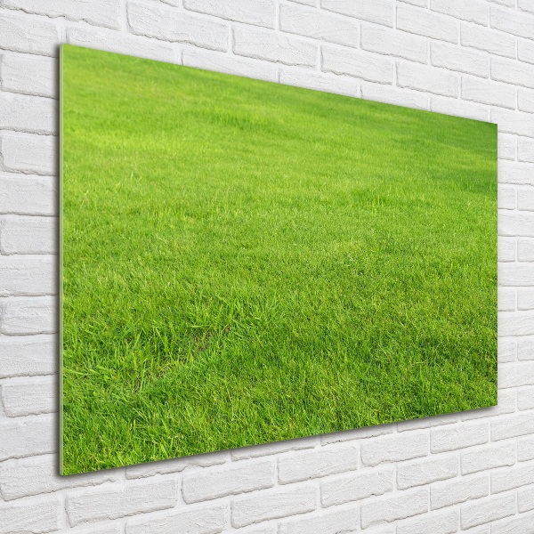 Glass acrylic wall art green grass