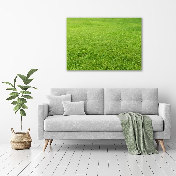 Glass acrylic wall art green grass