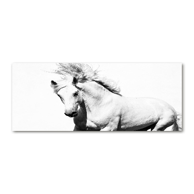 Wall art acrylic White horse