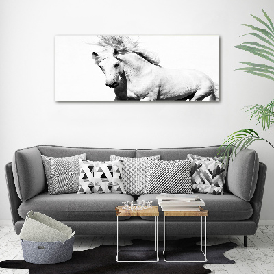 Wall art acrylic White horse