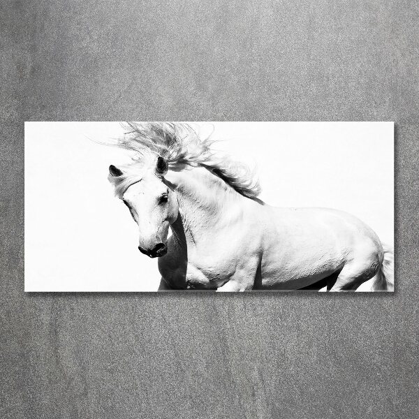 Wall art acrylic White horse