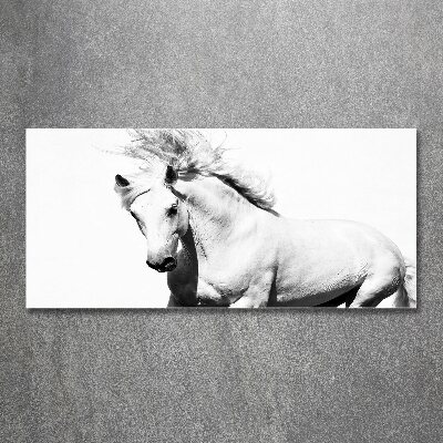 Wall art acrylic White horse