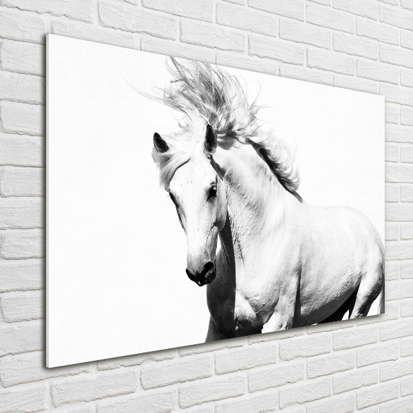 Wall art acrylic White horse