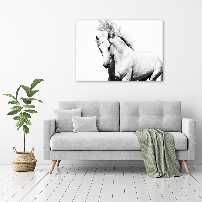 Wall art acrylic White horse