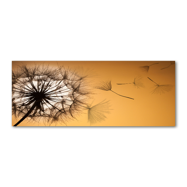 Glass acrylic wall art Dandelion