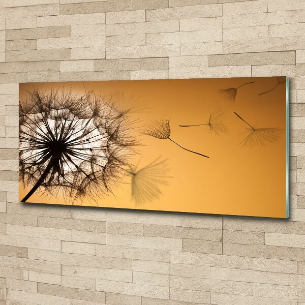 Glass acrylic wall art Dandelion