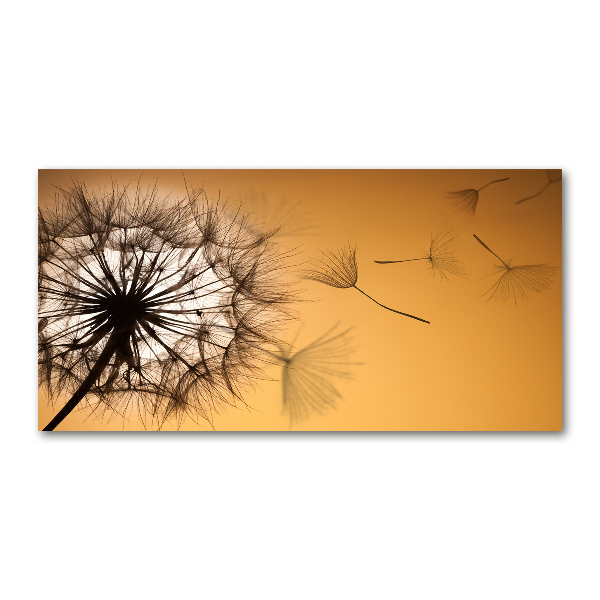 Glass acrylic wall art Dandelion