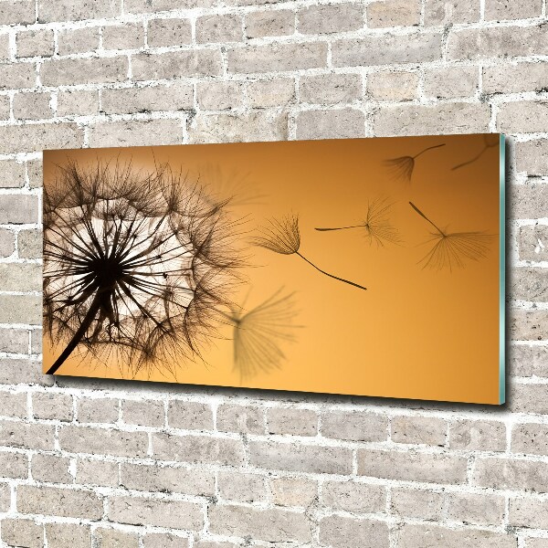 Glass acrylic wall art Dandelion