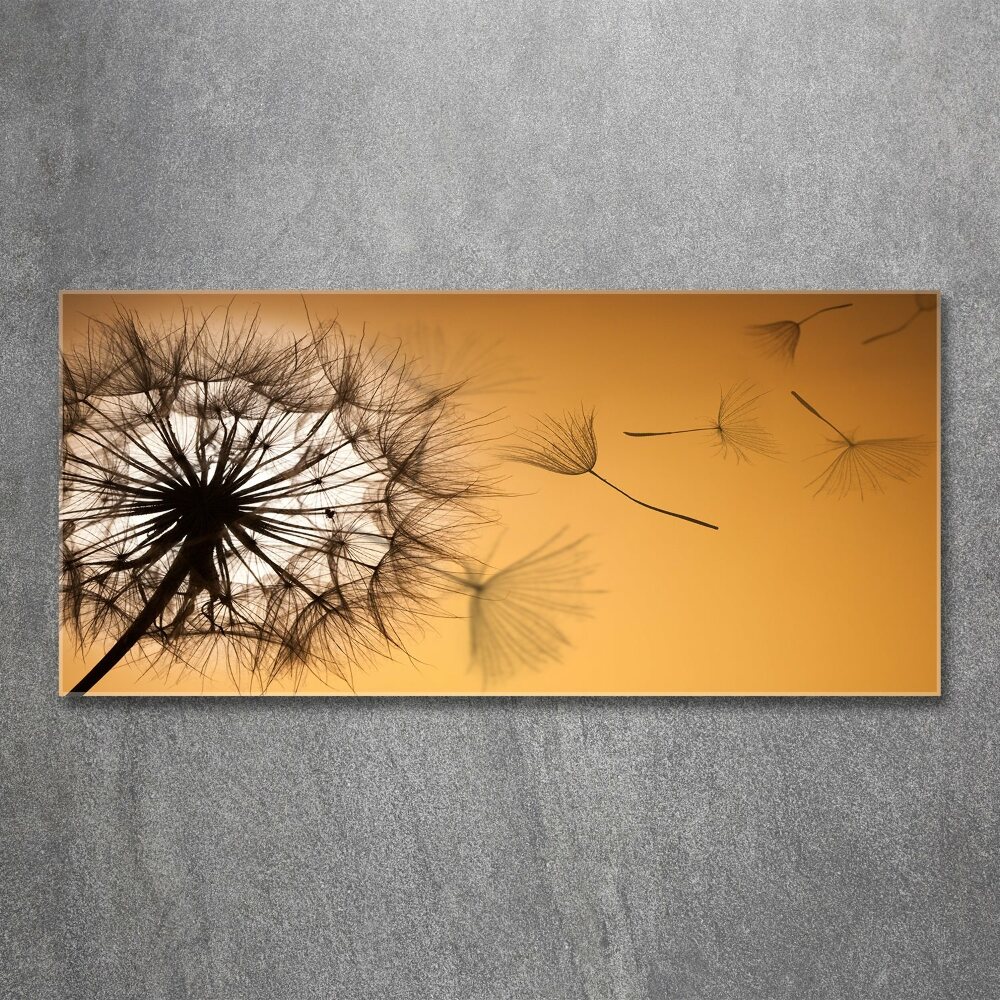 Glass acrylic wall art Dandelion