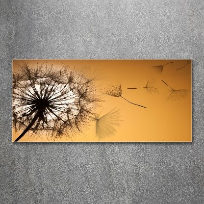 Glass acrylic wall art Dandelion