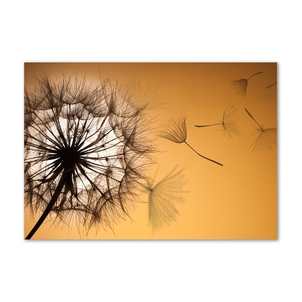 Glass acrylic wall art Dandelion