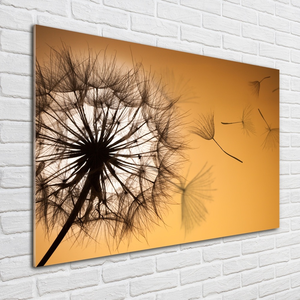 Glass acrylic wall art Dandelion