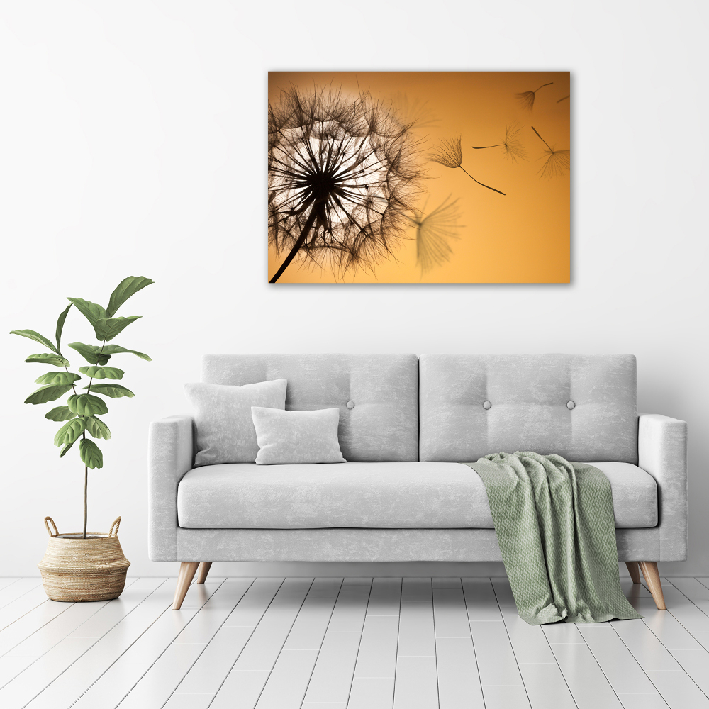 Glass acrylic wall art Dandelion